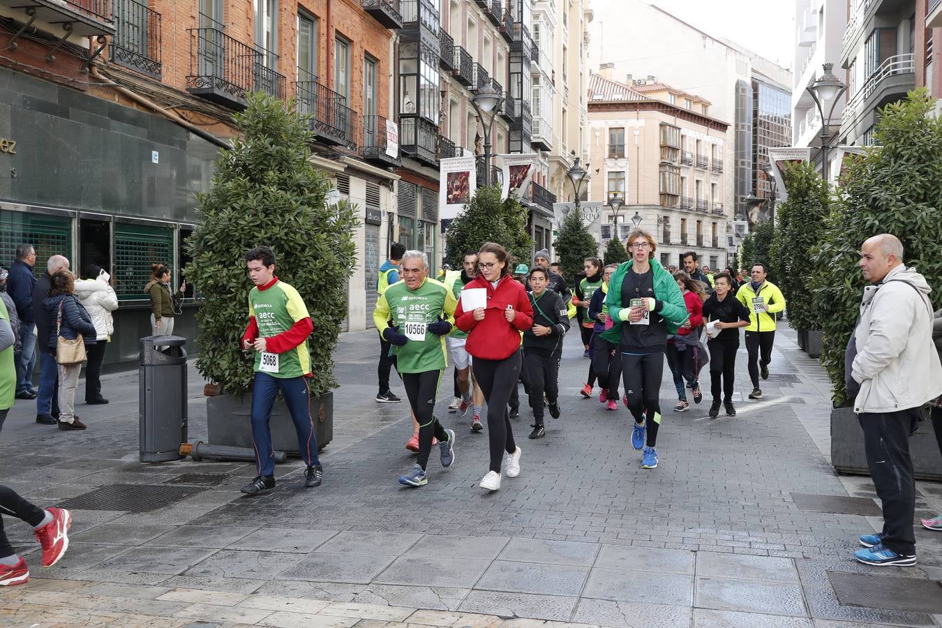 Fotos: Marcha contra el Cáncer en Valladolid (1)