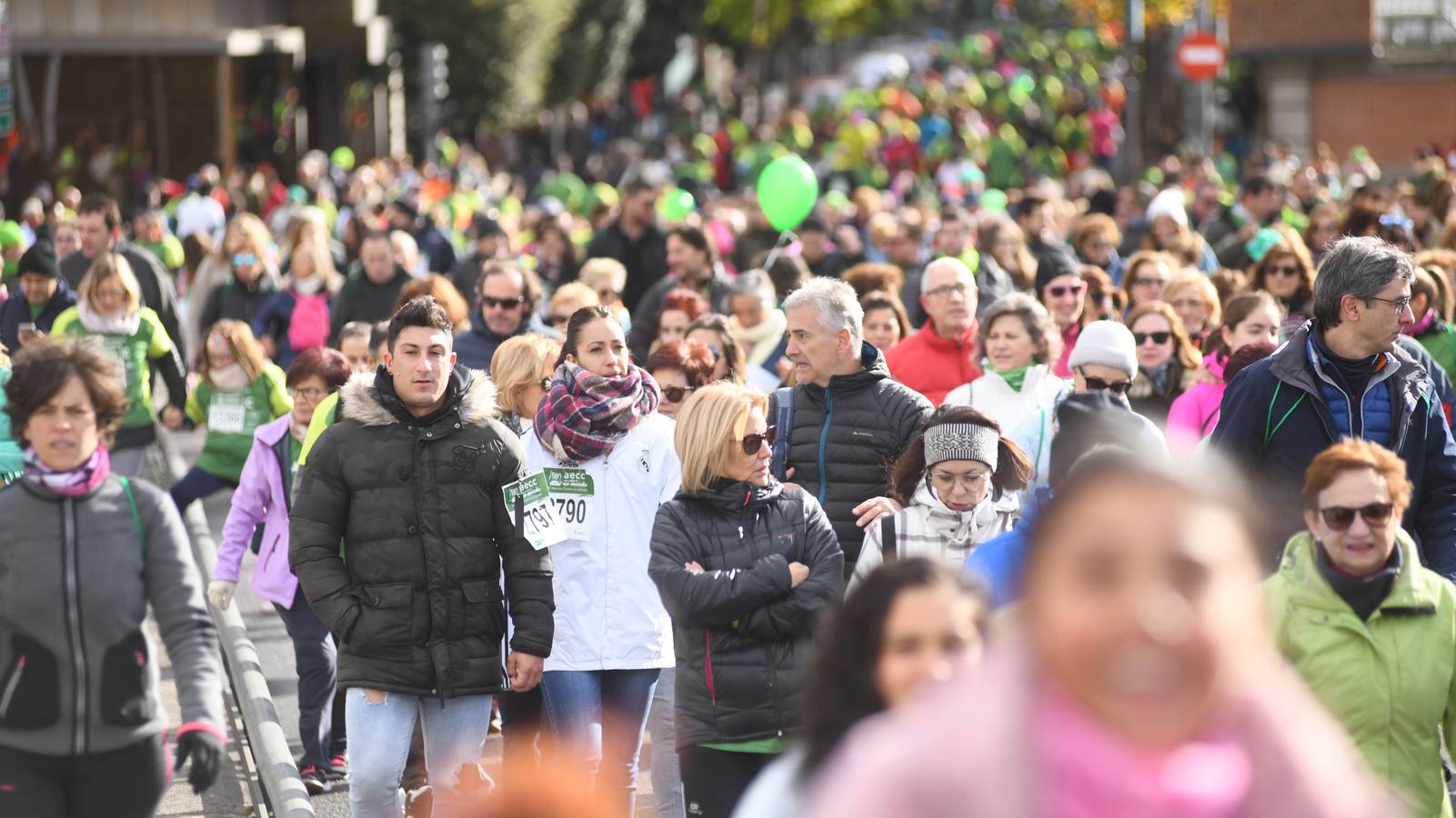 Fotos: VII Marcha contra el Cáncer en Valladolid (3)