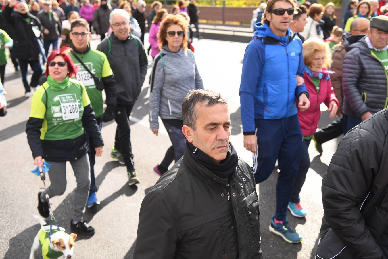 Fotos: VII Marcha contra el Cáncer en Valladolid (3)