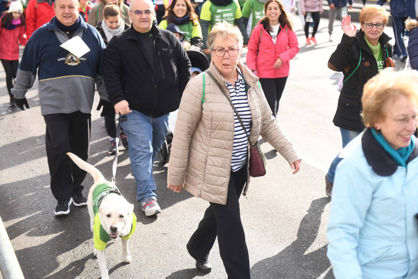 Fotos: VII Marcha contra el Cáncer en Valladolid (3)