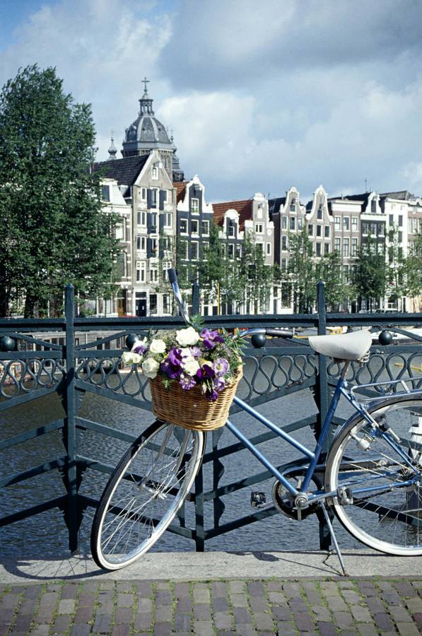 Ámsterdam. Una ciudad mágica que combina sus extensos canales y numerosos puentes con la original arquitectura de los siglos XVI y XVII concentrados en una pequeña superficie.