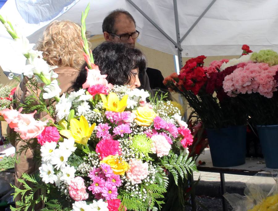 Fotos: Los segovianos visitan el cementerio en el Día de Todos los Santos