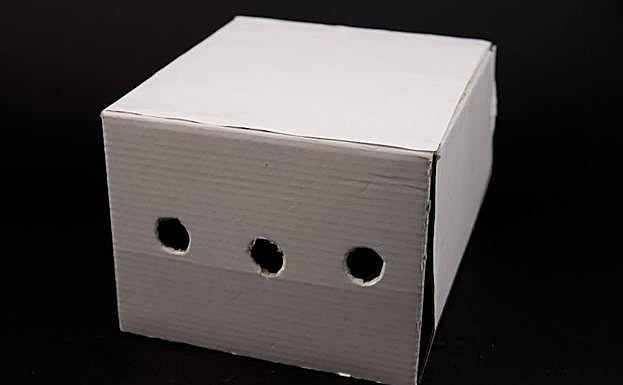 Esencia, de restaurante Puerto Chico, pincho de oro en el Provincial. Homenaje a la caja de El Principito («lo esencial es invisible a los ojos». Tapa de chipirón con pan de Valladolid que se fusiona con elementos de las cocinas de Japón, México, Vietnam, Ecuador y Filipinas. 