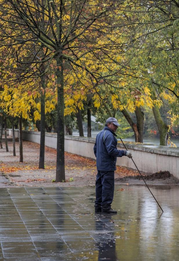 Fotos: El otoño viste a Valladolid