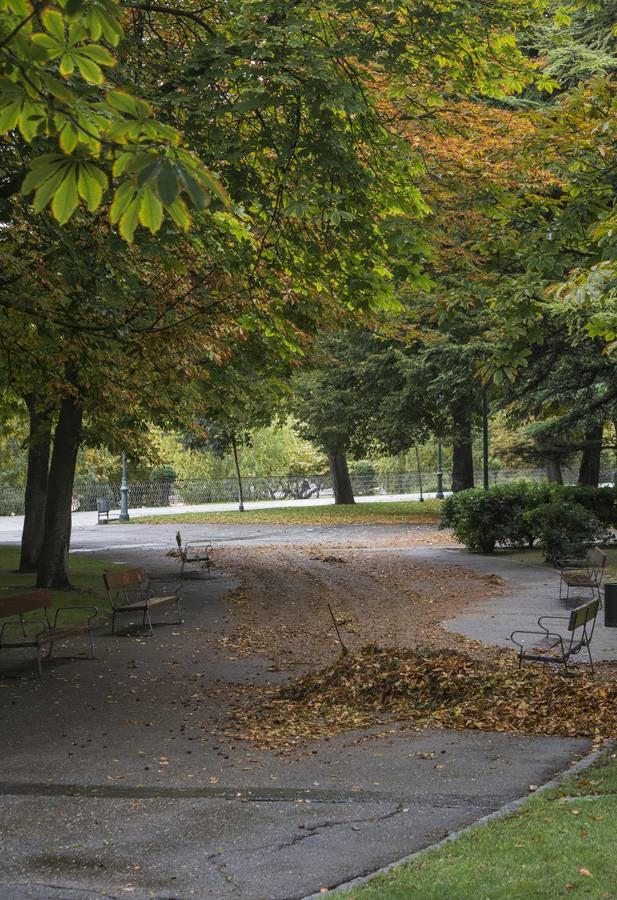 Fotos: El otoño viste a Valladolid