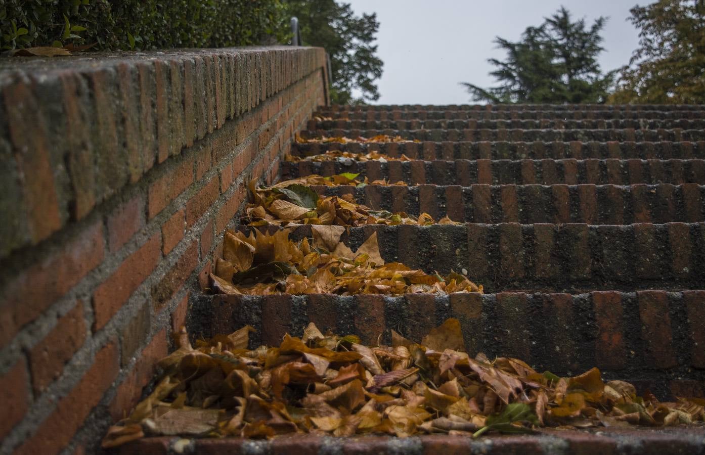 Fotos: El otoño viste a Valladolid