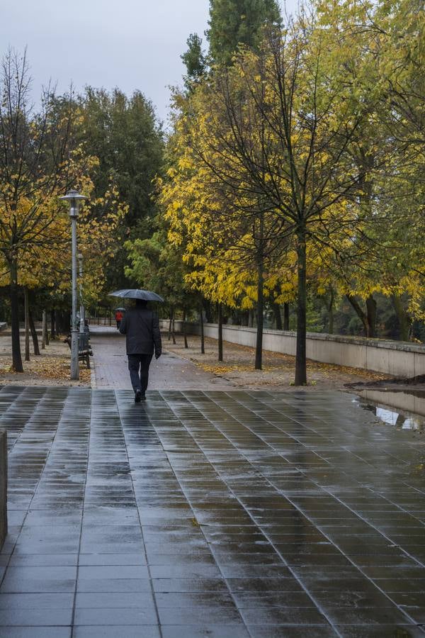 Fotos: El otoño viste a Valladolid