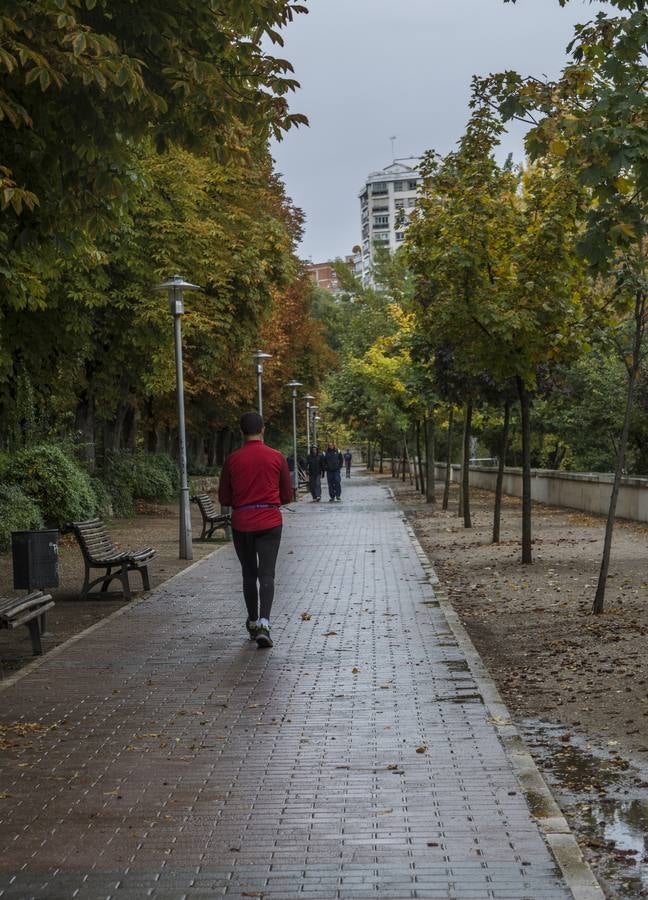 Fotos: El otoño viste a Valladolid