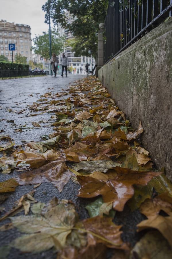 Fotos: El otoño viste a Valladolid
