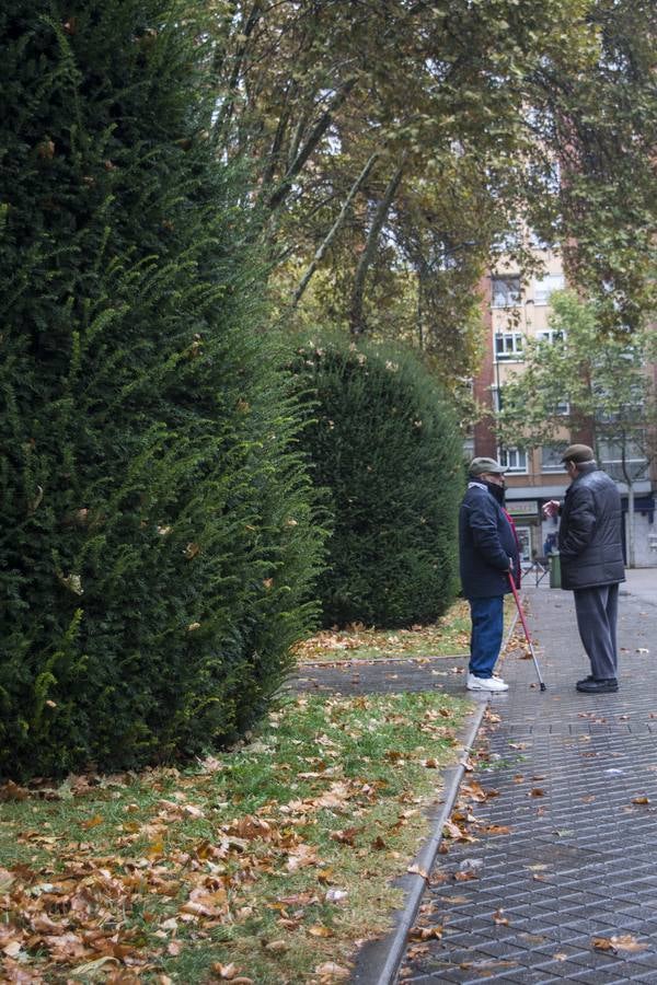 Fotos: El otoño viste a Valladolid