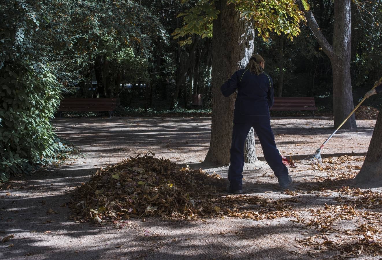 Fotos: El otoño viste a Valladolid