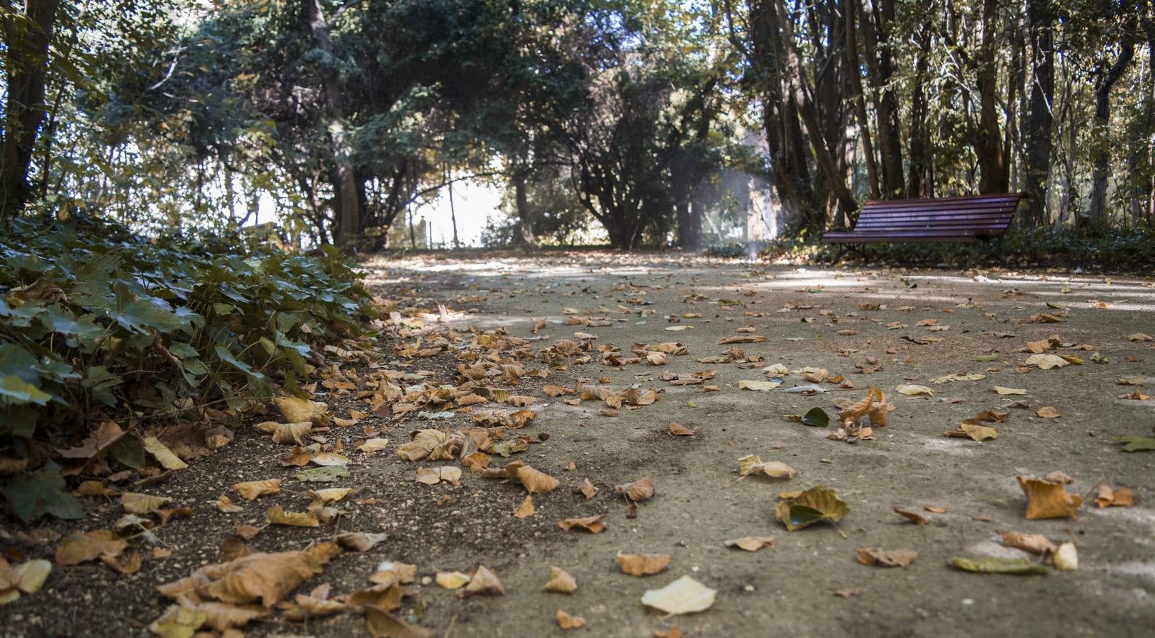 Fotos: El otoño viste a Valladolid