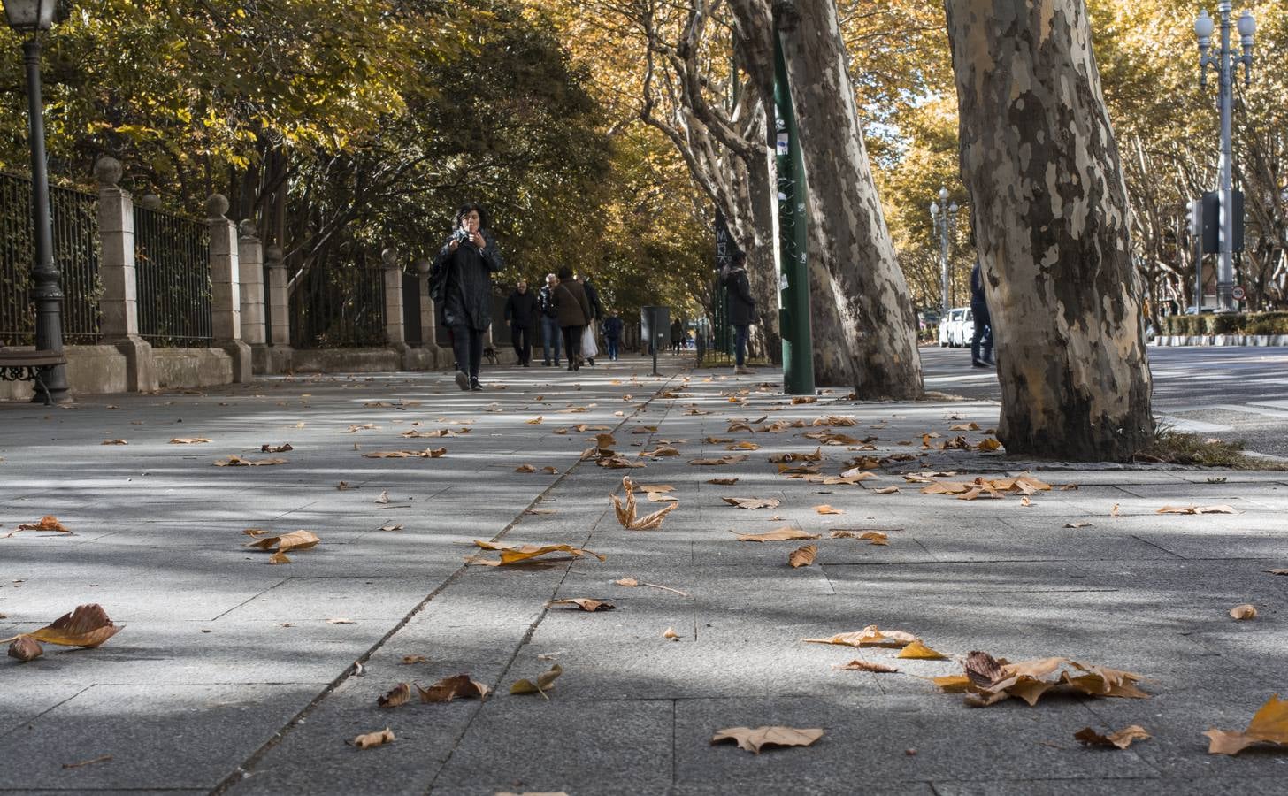 Fotos: El otoño viste a Valladolid