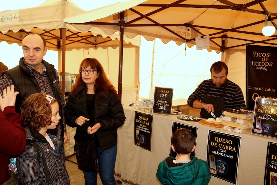 Fotos: Exitosa Feria del Queso y el Vino en Baltanás