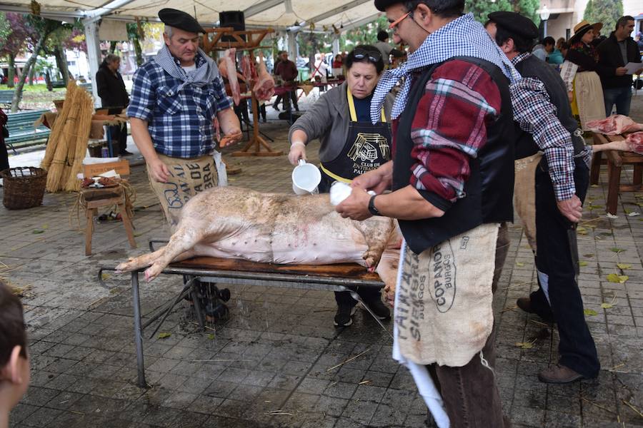 Fotos: Matanza en Guardo