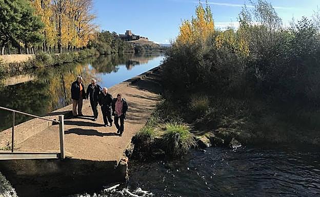 Representantes de la plataforma en al zona del Paraje donde piden que se actúe.