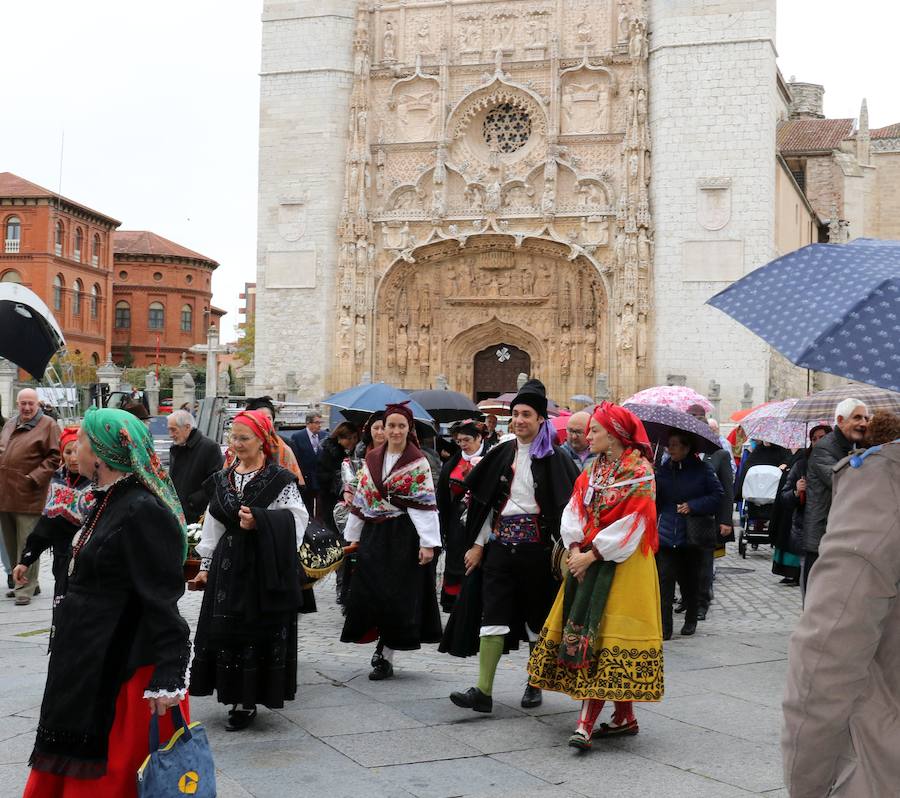 Fotos: Procesión de la Virgen del Camino en Valladolid