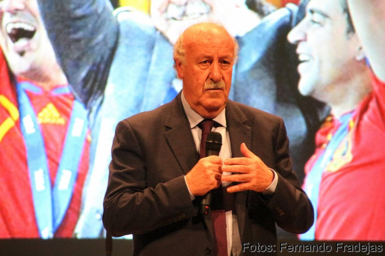 Fotos: Vicente del Bosque, en la gala de la Ciudad Europea de Medina de Rioseco