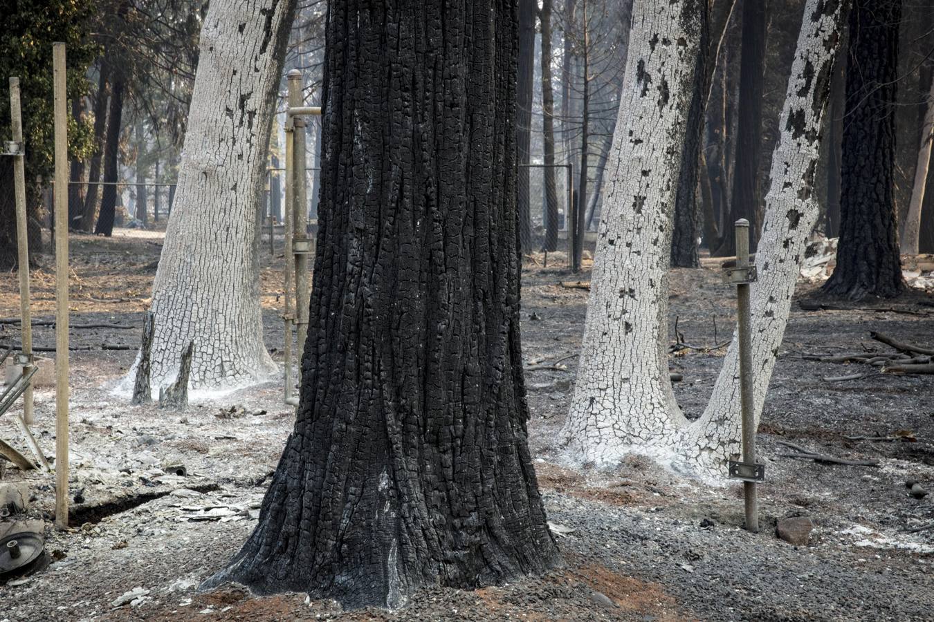 Los incendios forestales que desde el jueves arrasan California, se encuentran entre los más letales en Estados Unidos desde principios de los 90