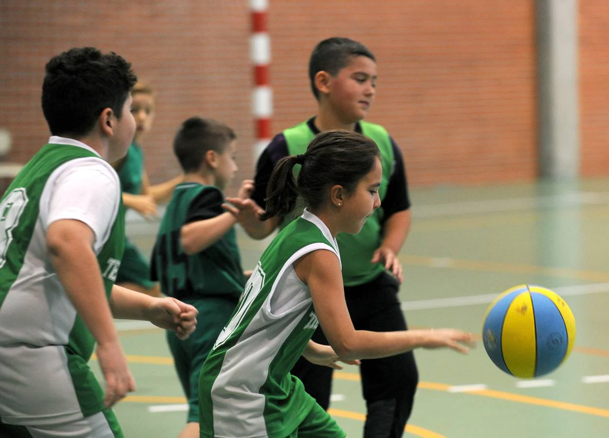 Fotos: Deporte Base del 10 y 11 de noviembre. Valladolid