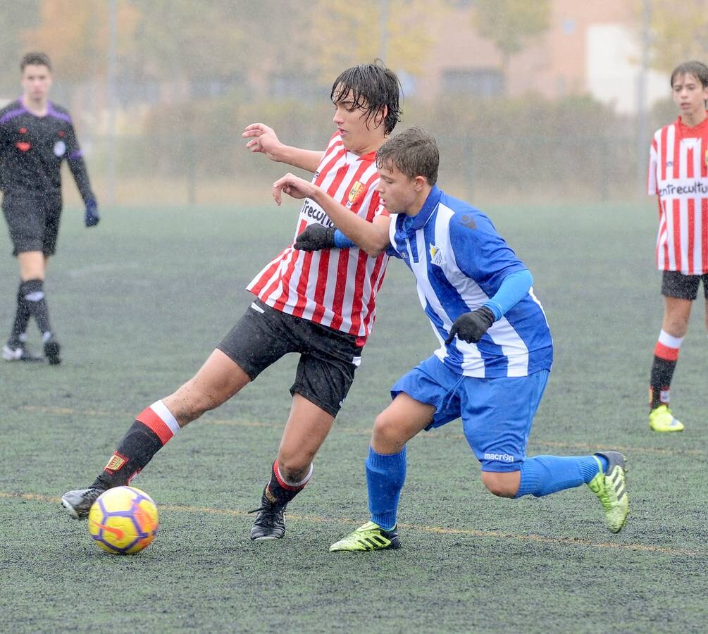 Fotos: Deporte Base del 10 y 11 de noviembre. Valladolid