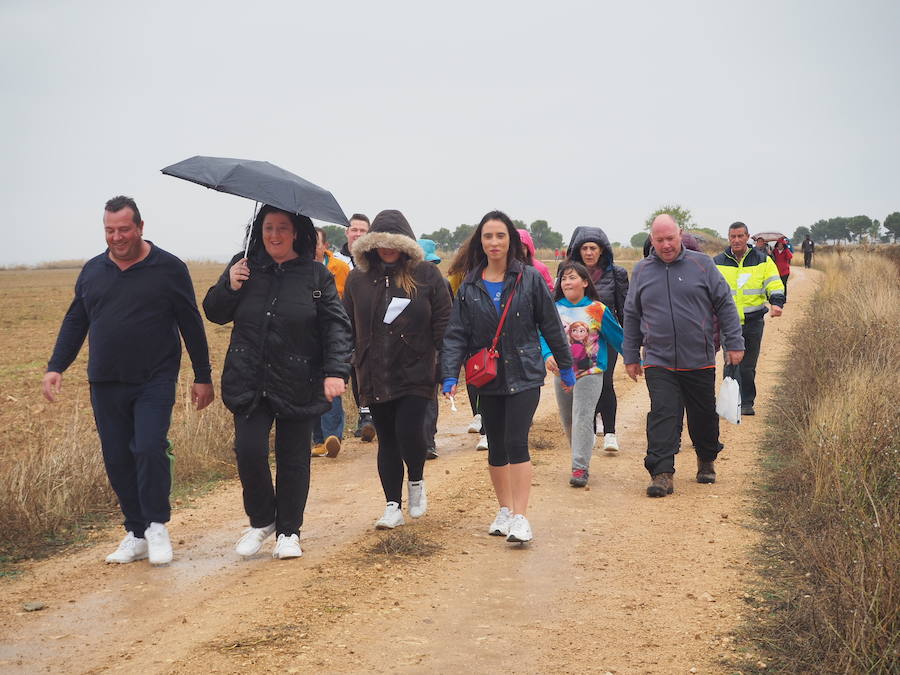 Fotos: Marcha solidaria en Villasexmir para apoyar a la pequeña Julia