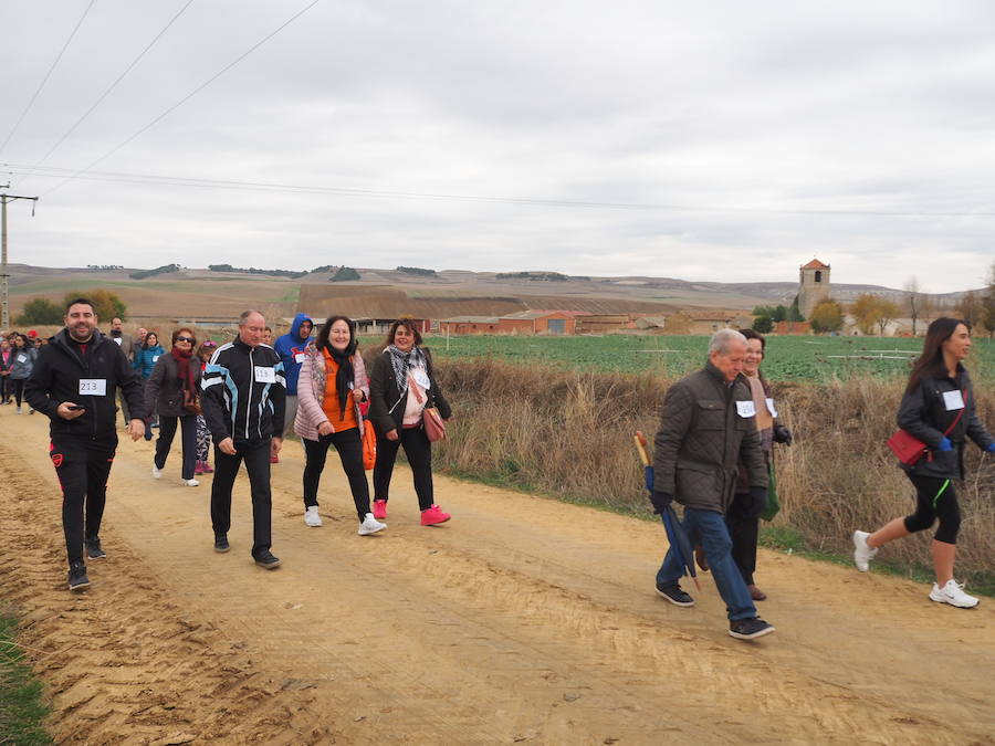 Fotos: Marcha solidaria en Villasexmir para apoyar a la pequeña Julia