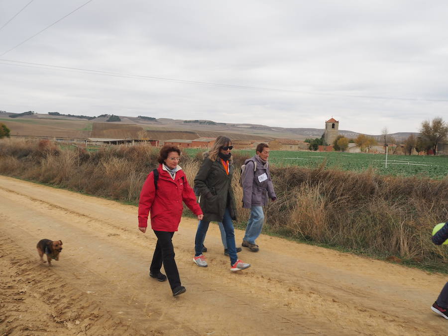 Fotos: Marcha solidaria en Villasexmir para apoyar a la pequeña Julia