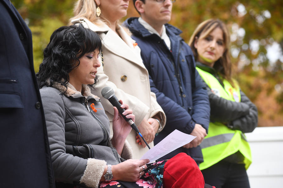 Fotos: Día en Recuerdo de las Víctimas de Accidentes de Tráfico en Valladolid