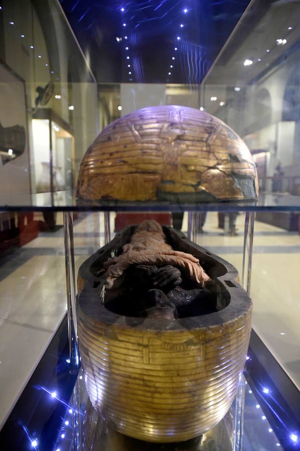El Museo Egipcio en El Cairo cumple 116 años con una exhibición. Yuya y Thuya son los padres de la Reina Tiye, que fue la esposa del Faraón Amenhotep III, el padre del rey Akhenaton. Esta tumba es famosa debido a sus tesoros únicos, como la rueda de oro de Yuya, y la magnífica colección funeraria que incluye camas, sillas y cajas de madera dorada y decoradas con fayenza, marfil y ébano; así como ollas y vasos de alabastro con incrustaciones de piedras de colores. Las momias de Yuya y Thuya también se encontraron dentro de la tumba en muy buenas condiciones de conservación debido a la alta calidad de los materiales de embalsamamiento utilizados en la época