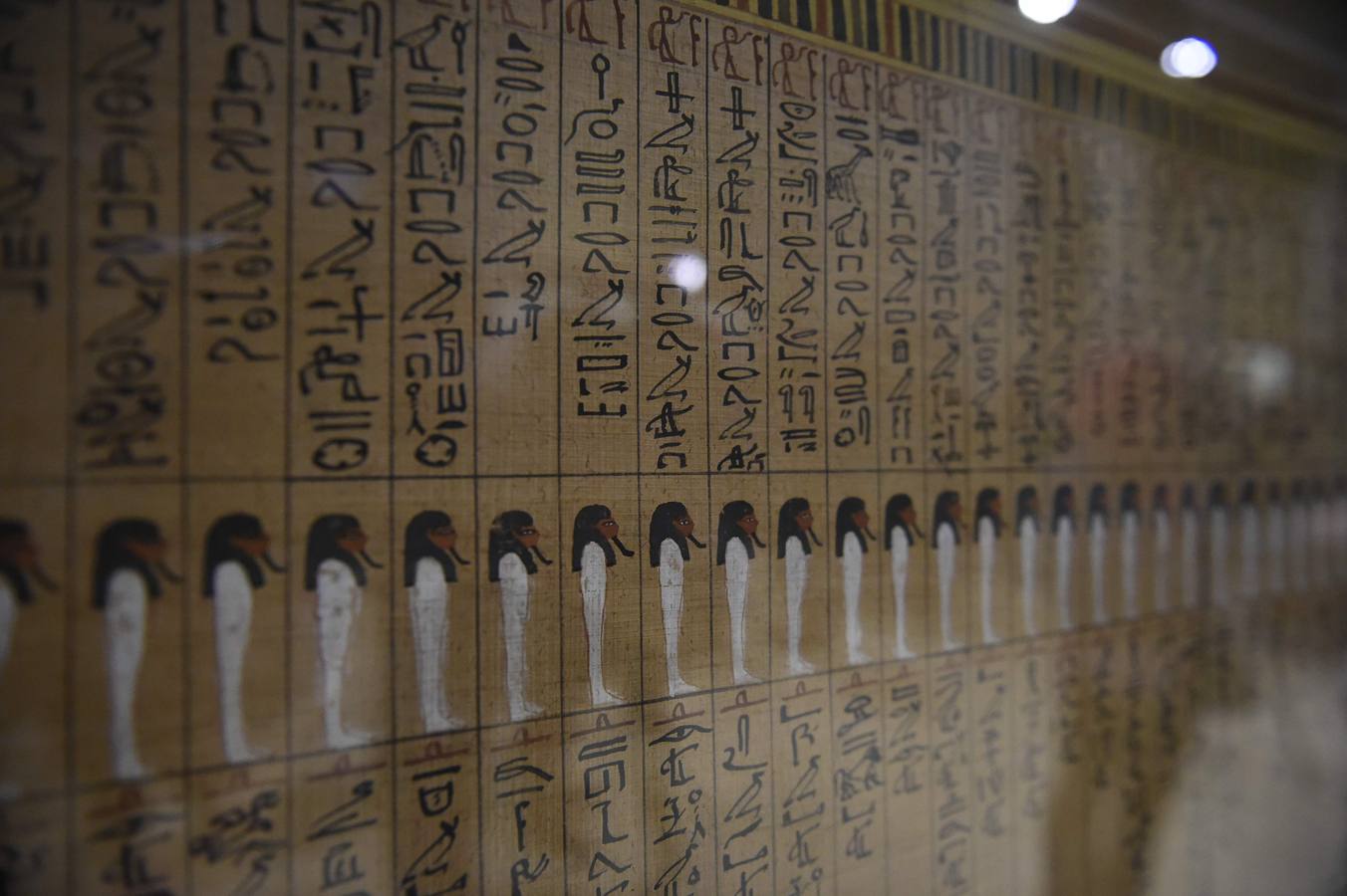 El Museo Egipcio en El Cairo cumple 116 años con una exhibición. Yuya y Thuya son los padres de la Reina Tiye, que fue la esposa del Faraón Amenhotep III, el padre del rey Akhenaton. Esta tumba es famosa debido a sus tesoros únicos, como la rueda de oro de Yuya, y la magnífica colección funeraria que incluye camas, sillas y cajas de madera dorada y decoradas con fayenza, marfil y ébano; así como ollas y vasos de alabastro con incrustaciones de piedras de colores. Las momias de Yuya y Thuya también se encontraron dentro de la tumba en muy buenas condiciones de conservación debido a la alta calidad de los materiales de embalsamamiento utilizados en la época