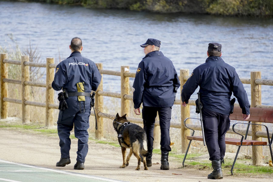 Continúa la búsqueda de José Antonio Martínez Bolos, el hombre de 72 años enfermo de Alzheimer y desaparecido hace una semana en la calle Azafranal 