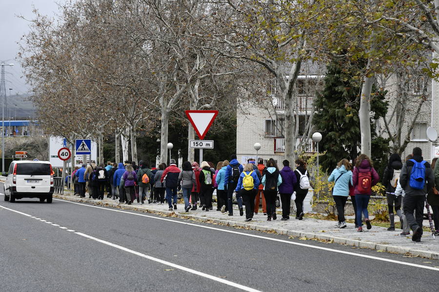 Fotos: Actos contra la violencia de género en El Espinar