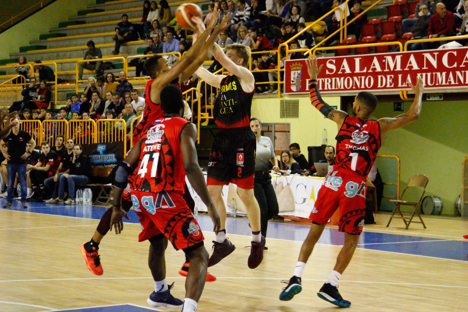 Fotos: Todas las fotos del CB Tormes - Cantabria Estela