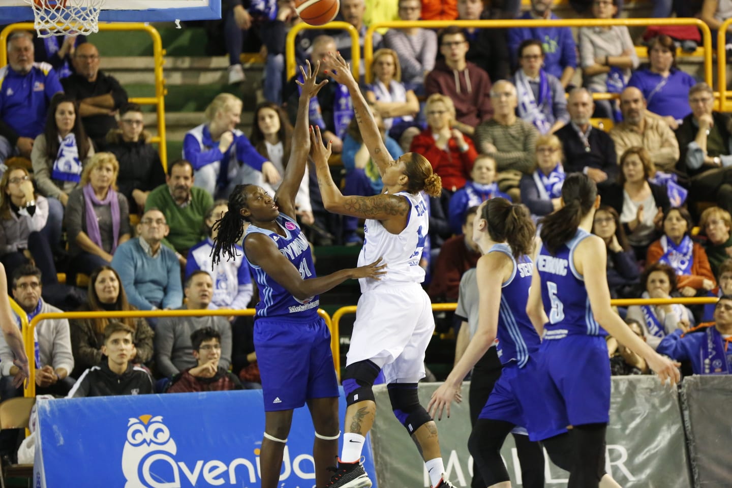 Fotos: CB Avenida - Dynamo de Kursk