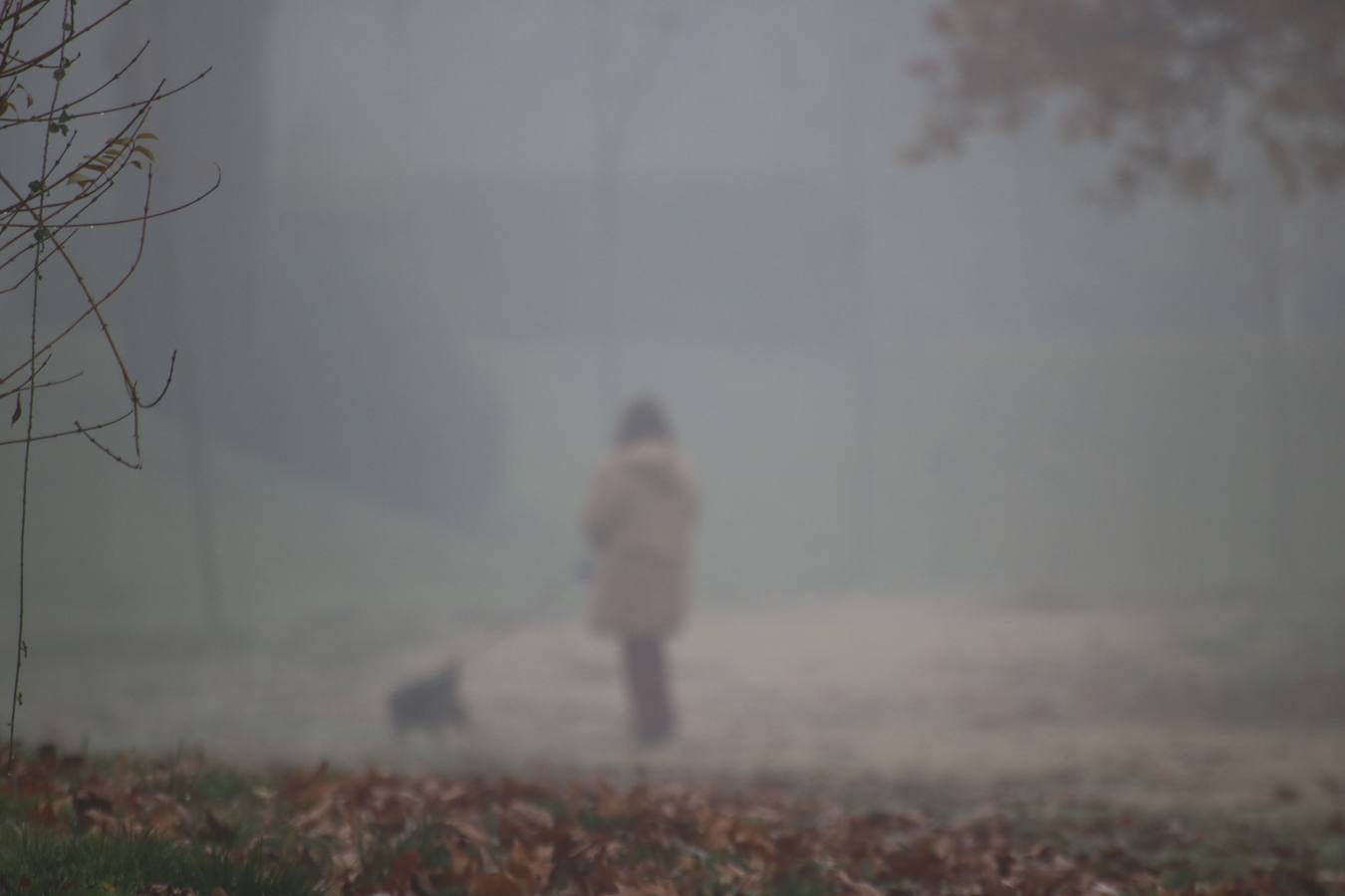 Fotos: Jornada de niebla en Valladolid