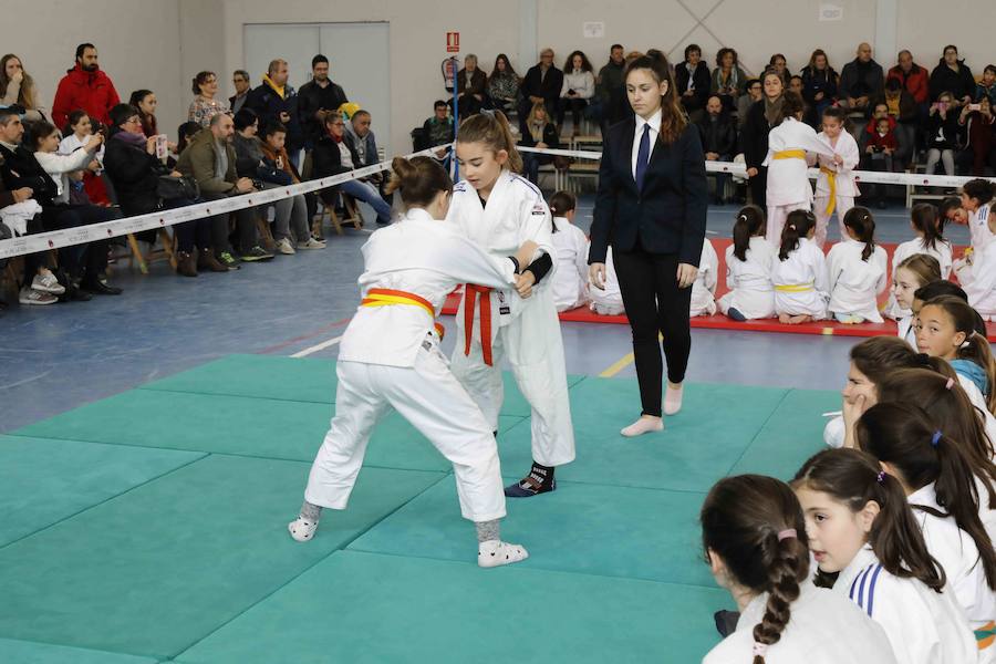 Fotos: Fiesta del Judo en Quintanilla de Onésimo