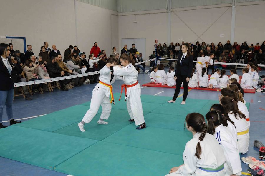 Fotos: Fiesta del Judo en Quintanilla de Onésimo