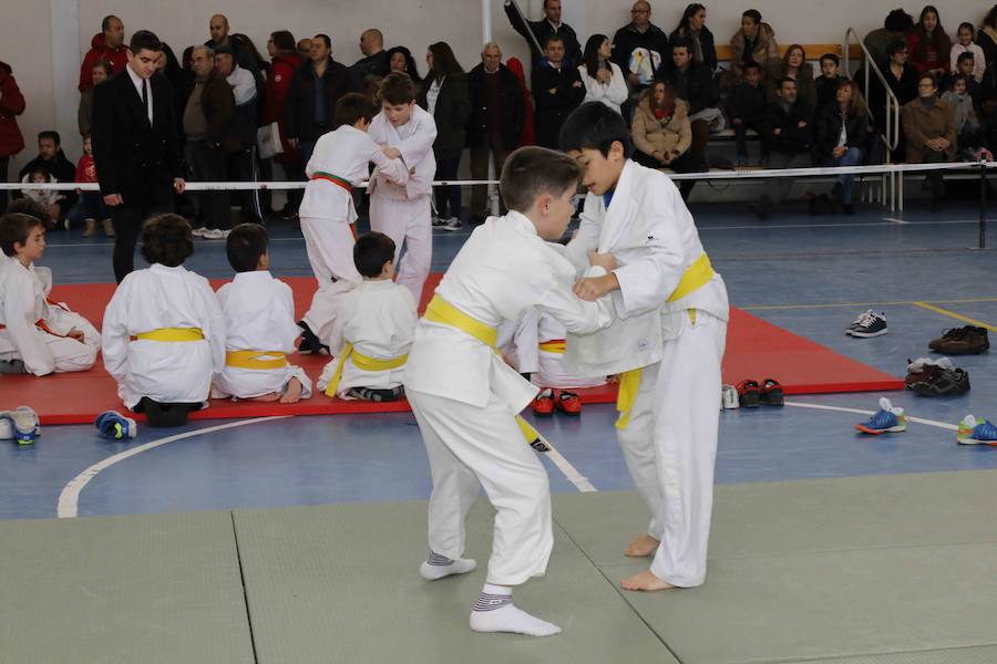 Fotos: Fiesta del Judo en Quintanilla de Onésimo