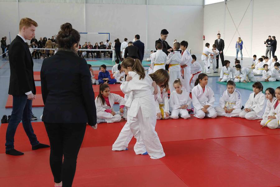 Fotos: Fiesta del Judo en Quintanilla de Onésimo