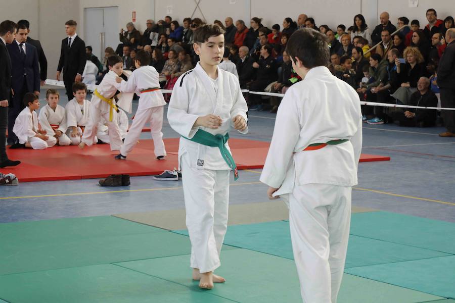 Fotos: Fiesta del Judo en Quintanilla de Onésimo