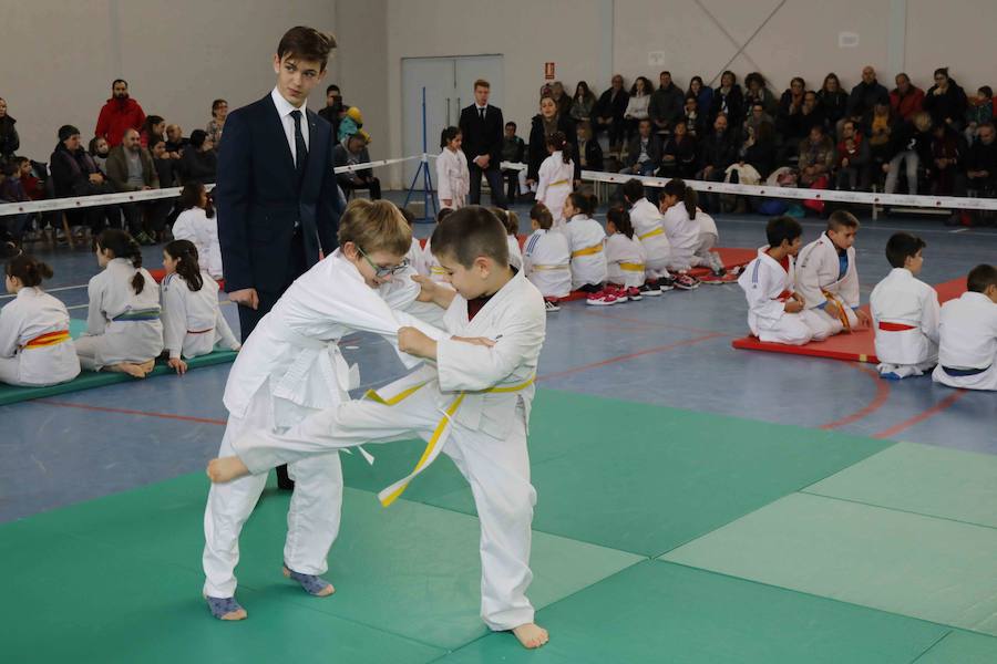 Fotos: Fiesta del Judo en Quintanilla de Onésimo