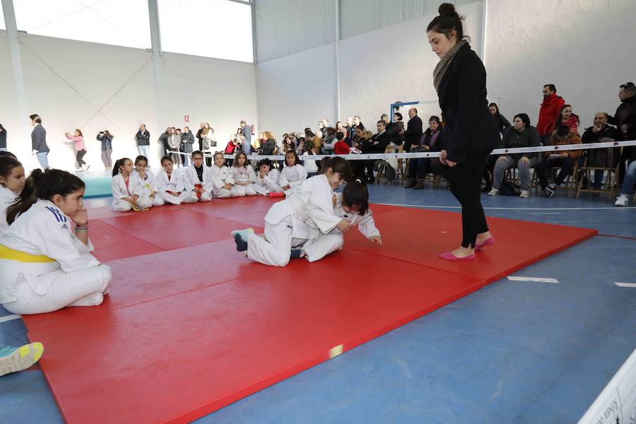 Fotos: Fiesta del Judo en Quintanilla de Onésimo