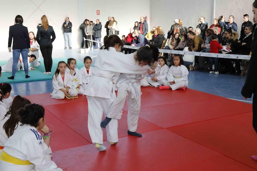 Fotos: Fiesta del Judo en Quintanilla de Onésimo