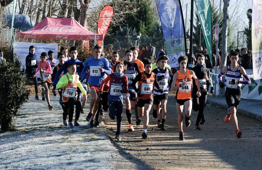 Fotos: XXXV Cross Rondilla &#039;Las 12 uvas&#039;: categoría junior y juvenil masculino y femenino