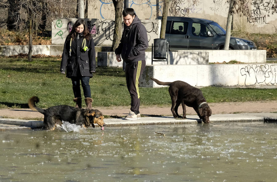 Helada en Valladolid.