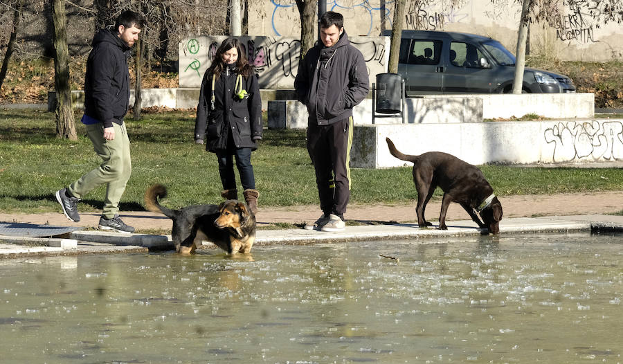 Helada en Valladolid.