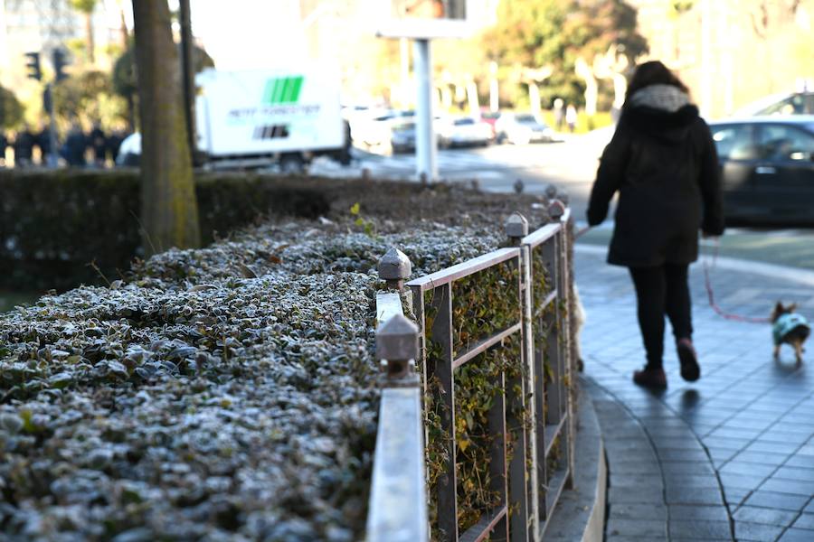 Helada en Valladolid.