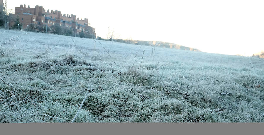 Fotos: Helada en Valladolid