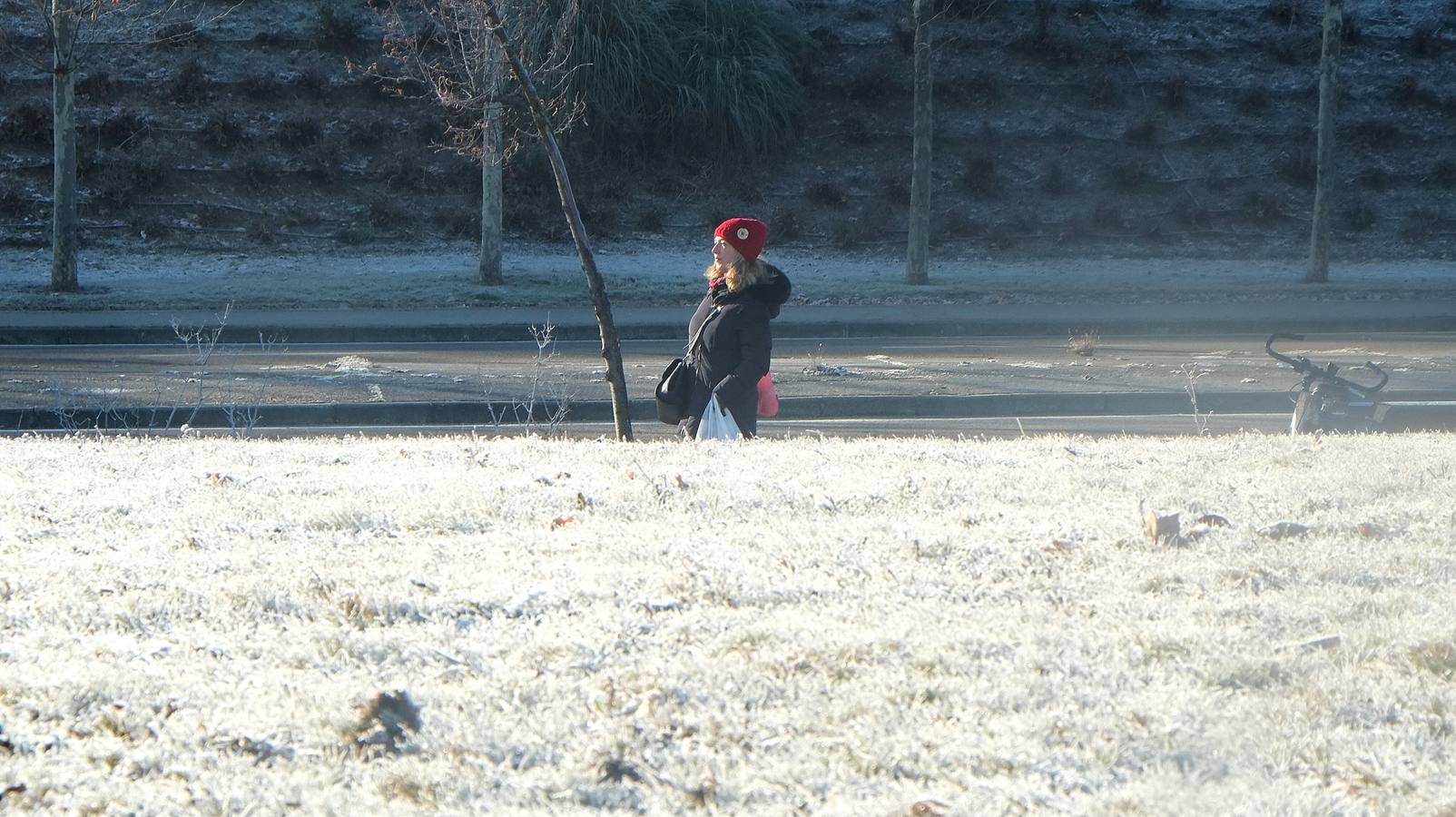 Fotos: Helada en Valladolid